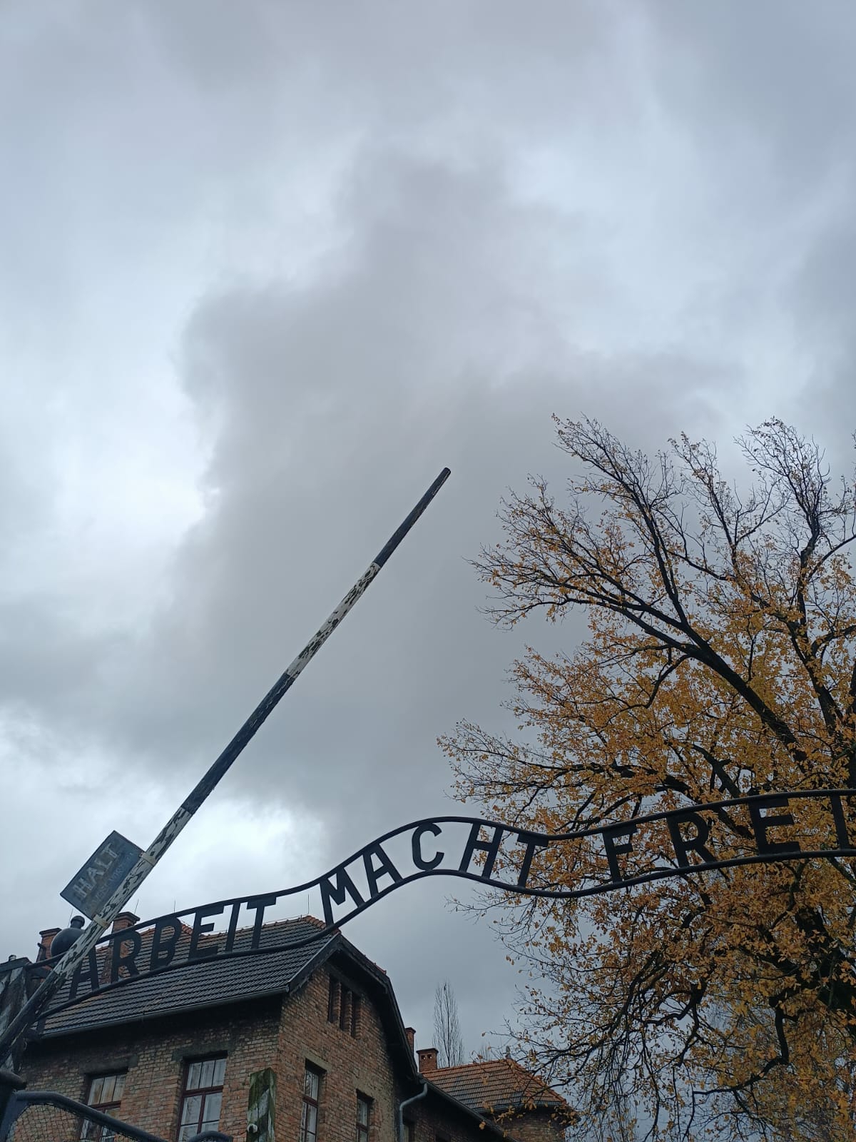 Osvětim