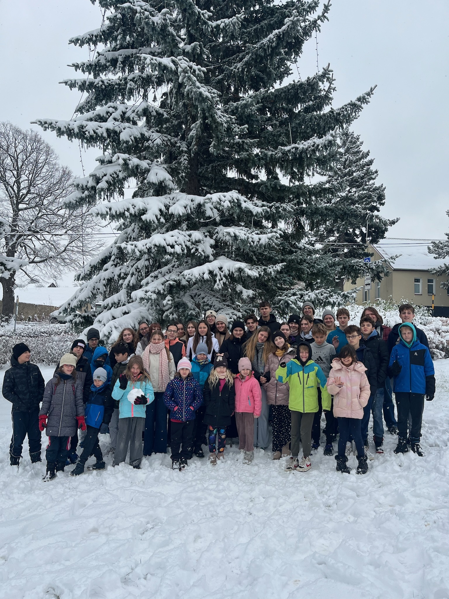 Potáborko červených